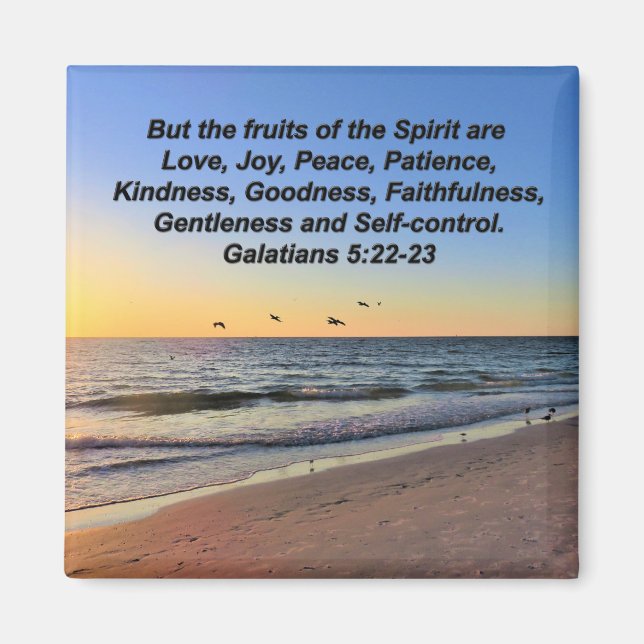 SEAGULLS UND SONNENGALATIANER 5 MAGNETE (Vorne)