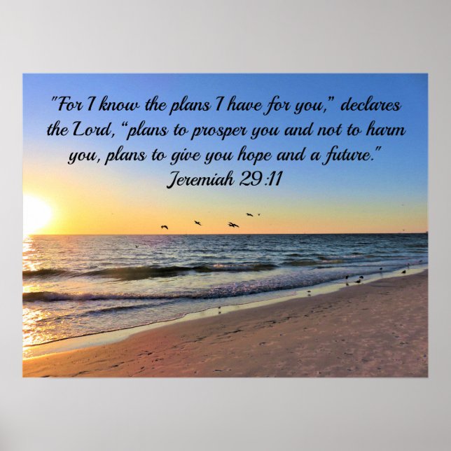 SEAGULLS UND SUNRISE JEREMIAH 29:11 BIBLE VERSE POSTER (Vorne)