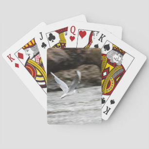 Seaguls Playing Cards Spielkarten