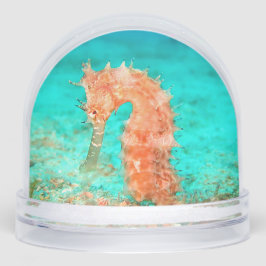 Seahorse tropical carribean turquoise orange schneekugeln