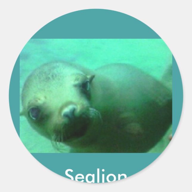Sealion Runder Aufkleber (Vorderseite)