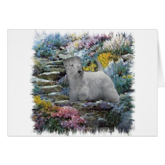 Sealyham Terrier Art (Vorderseite (Horizontal))