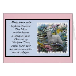 Sealyham Terrier Art