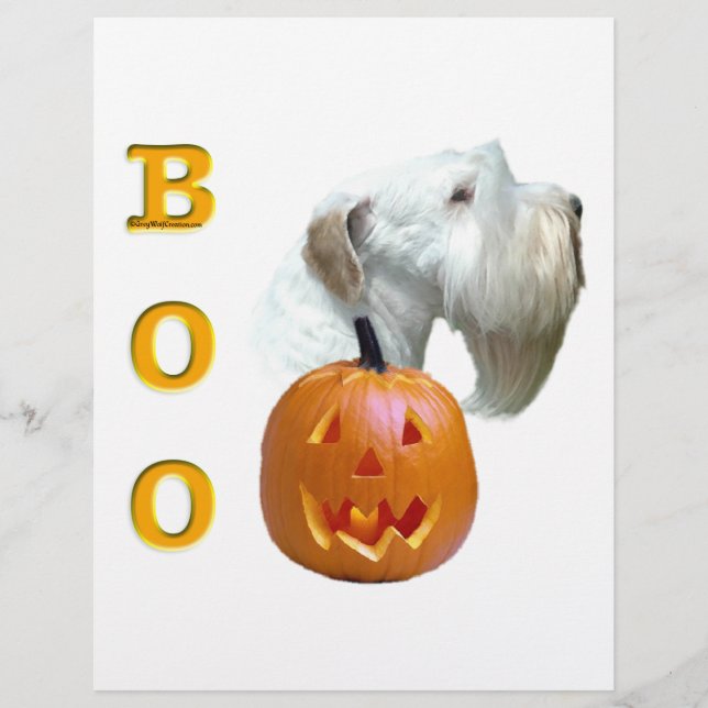 Sealyham Terrier Boo (Vorderseite)