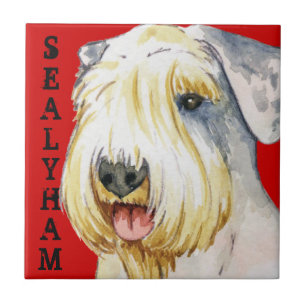 Sealyham Terrier Farbblock Fliese