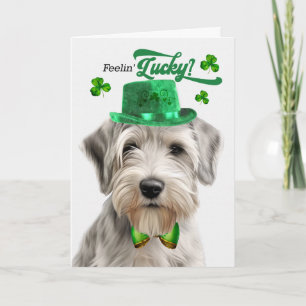 Sealyham Terrier Fühlt sich am St. Patrick's Day g Feiertagskarte