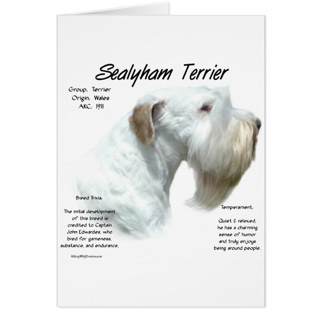 Sealyham Terrier History (Vorne)