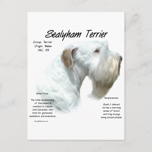 Sealyham Terrier History Design Postkarte (Vorderseite)