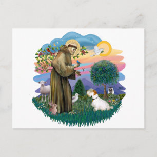 Sealyham Terrier Postkarte