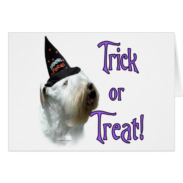 Sealyham Terrier Trick (Vorderseite (Horizontal))