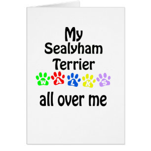 Sealyham Terrier Walks Design