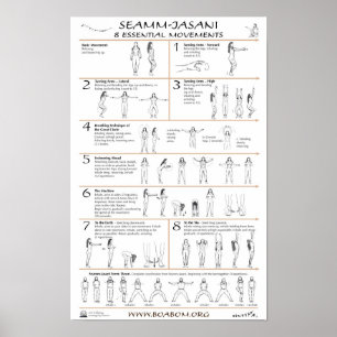 Seamm-Jasani: 8 Essential Movements Poster