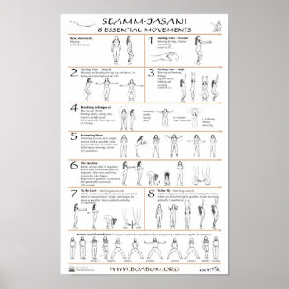 Seamm-Jasani: 8 Essential Movements Poster