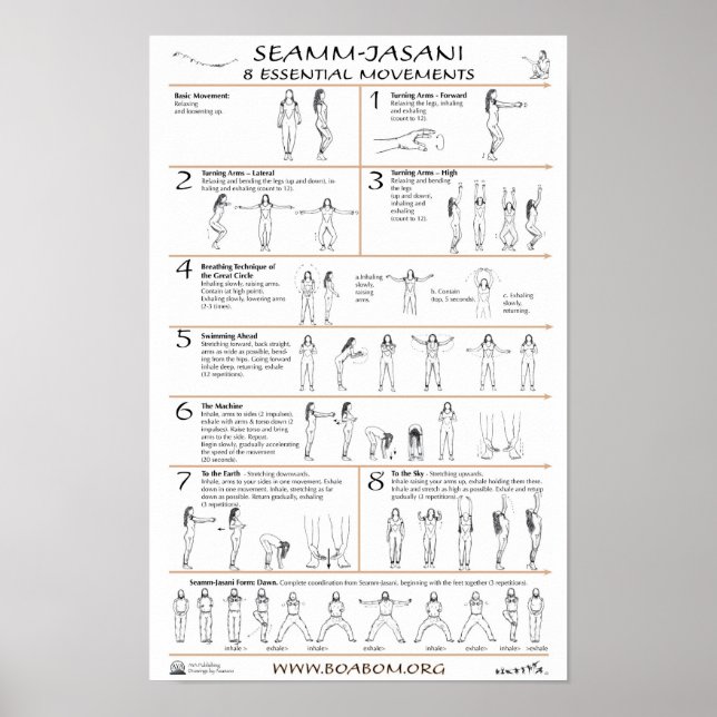 Seamm-Jasani: 8 Essential Movements Poster (Vorne)