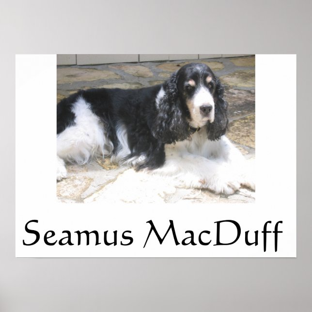 Seamus MacDuff Poster (Vorne)