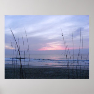 Seaoats und Sonnenaufgang Poster