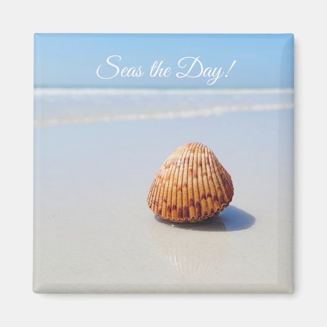 Seas the Day Beach Seashell Magnet (Vorne)