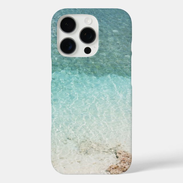 Seascape mit Strand, Great Wave & Mount Sea Case (Rückseite)