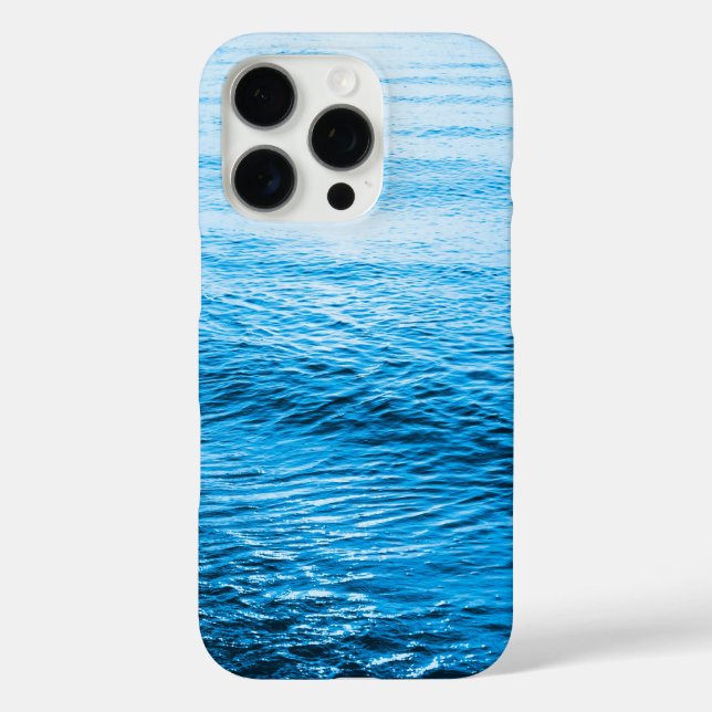 Seascape mit Strand, Great Wave & Mount Sea Case (Rückseite)