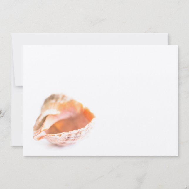 Seashell (Vorderseite)