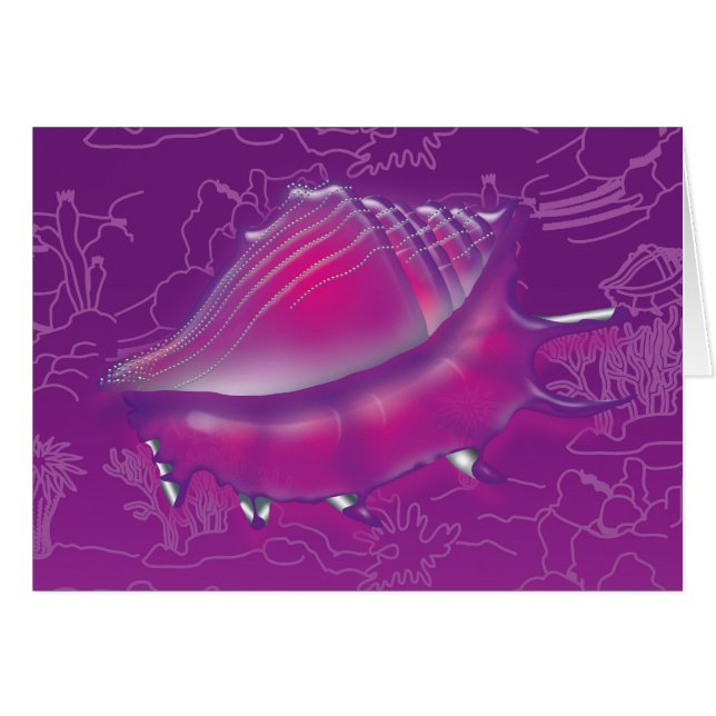 Seashell (Vorderseite (Horizontal))