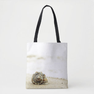 Seashell allein auf Strand