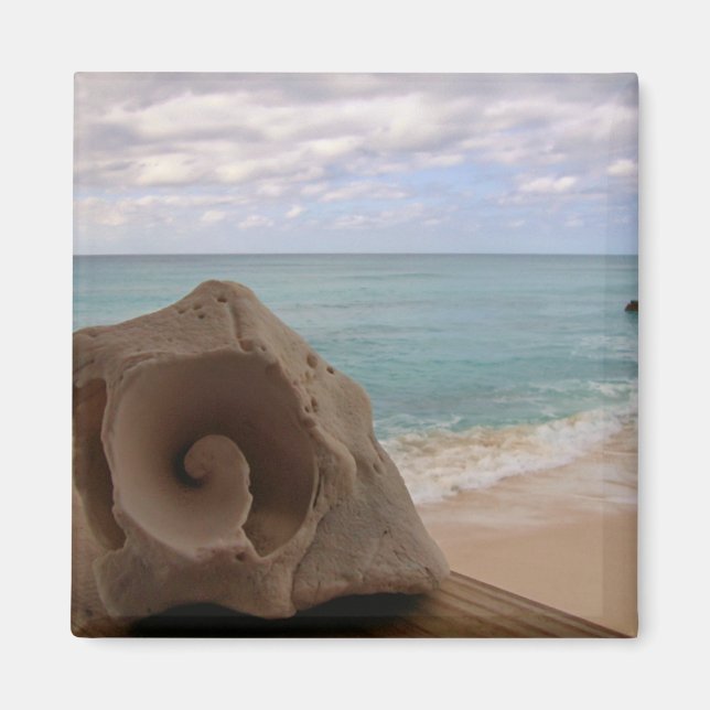 Seashell am Beach Foto Magnet (Vorne)