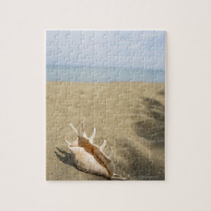 Seashell am Sandstrand Puzzle