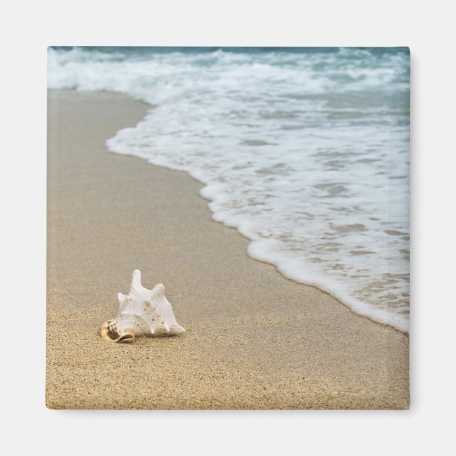 Seashell am Strand Magnet (Vorne)