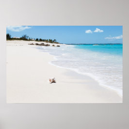 Seashell am Strand Poster