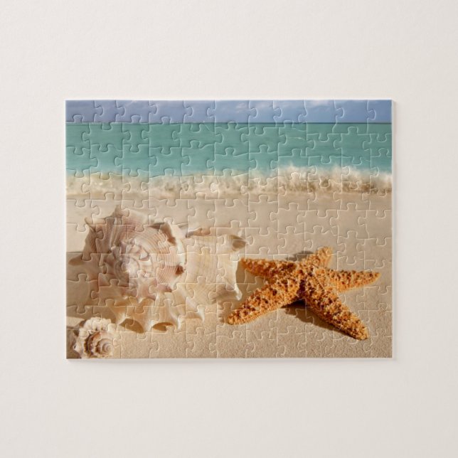 Seashell am Strand Puzzle (Horizontal)