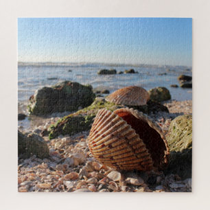 Seashell am Strand Puzzle