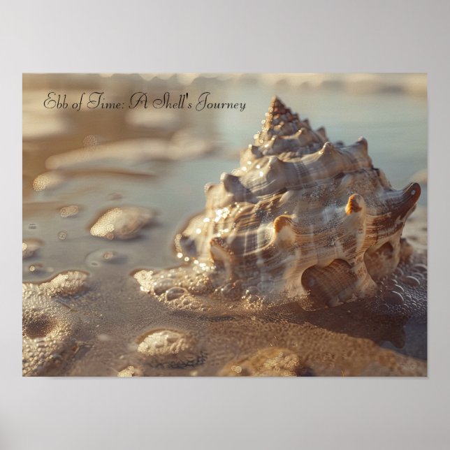Seashell and Sunlit Foam: Küstensteigkeit Poster (Vorne)