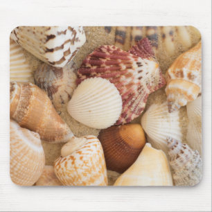 Seashell-Anordnung Mousepad