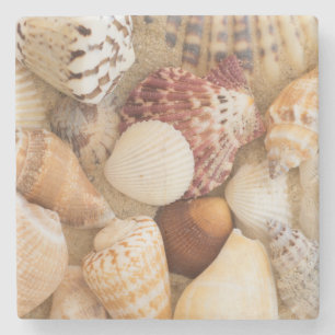 Seashell-Anordnung Steinuntersetzer