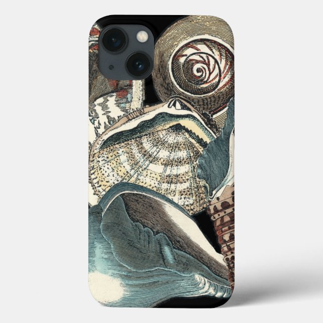 Seashell-Anthologie Case-Mate iPhone Hülle (Rückseite)