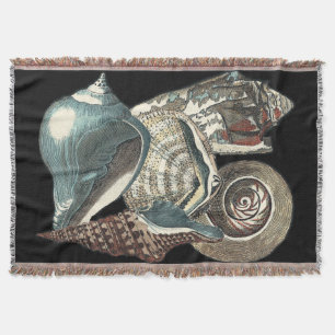 Seashell-Anthologie Decke