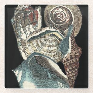 Seashell-Anthologie Glasuntersetzer
