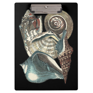 Seashell-Anthologie Klemmbrett