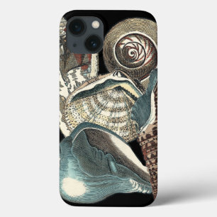Seashell Anthology iPhone 13 Hülle