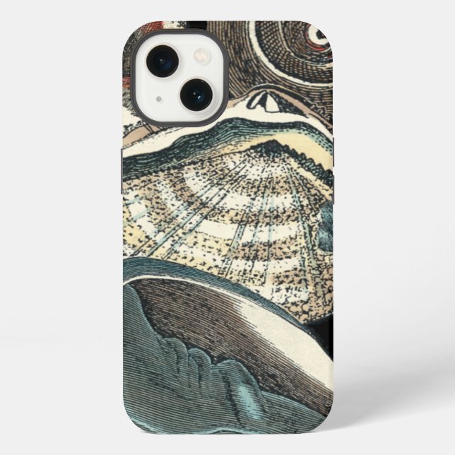 Seashell Anthology iPhone Hülle (Rückseite)