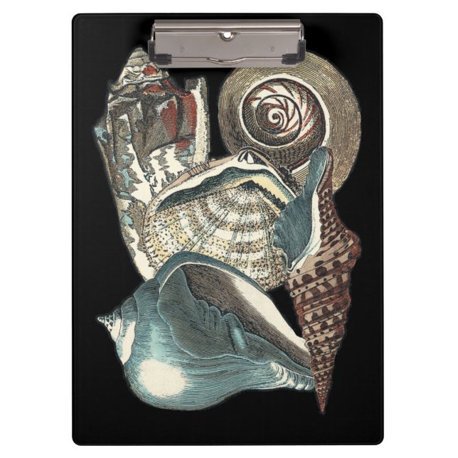 Seashell Anthology Klemmbrett (Vorderseite)