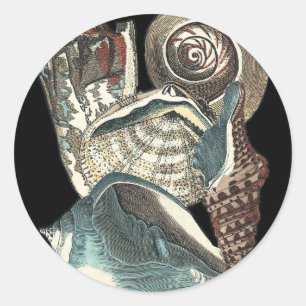 Seashell Anthology Runder Aufkleber
