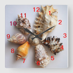Seashell Arrangement Clock Quadratische Wanduhr