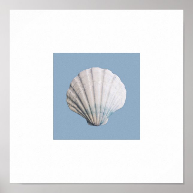 Seashell Art Print Poster (Vorne)