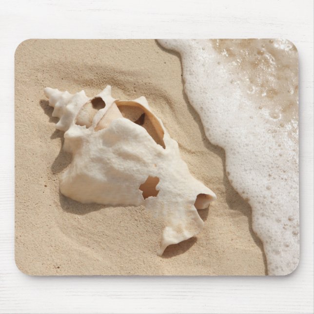 Seashell auf großartiger Türke-karibischer Insel Mousepad (Vorne)