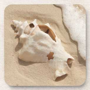 Seashell auf großartiger Türke-karibischer Insel Untersetzer