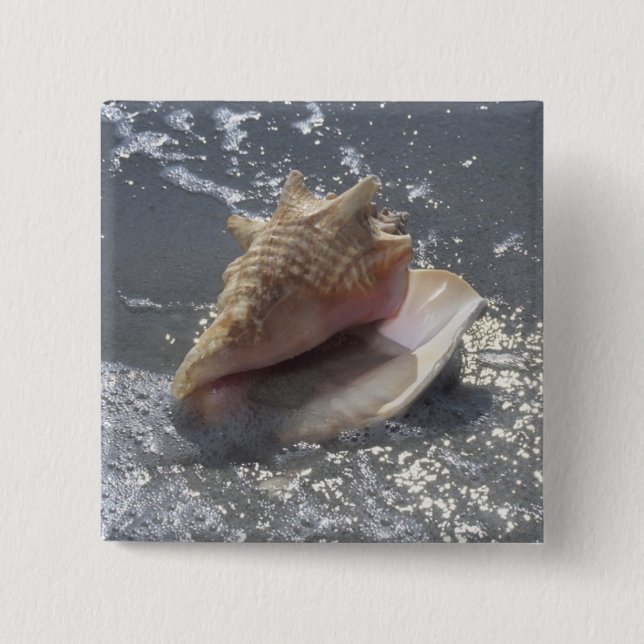 Seashell auf Insel des Strand-| Sanibel, Florida Button (Vorderseite)