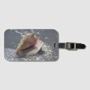 Seashell auf Insel des Strand- Sanibel, Florida Gepäckanhänger