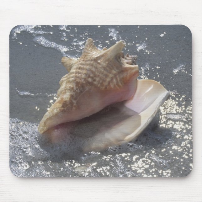 Seashell auf Insel des Strand-| Sanibel, Florida Mousepad (Vorne)